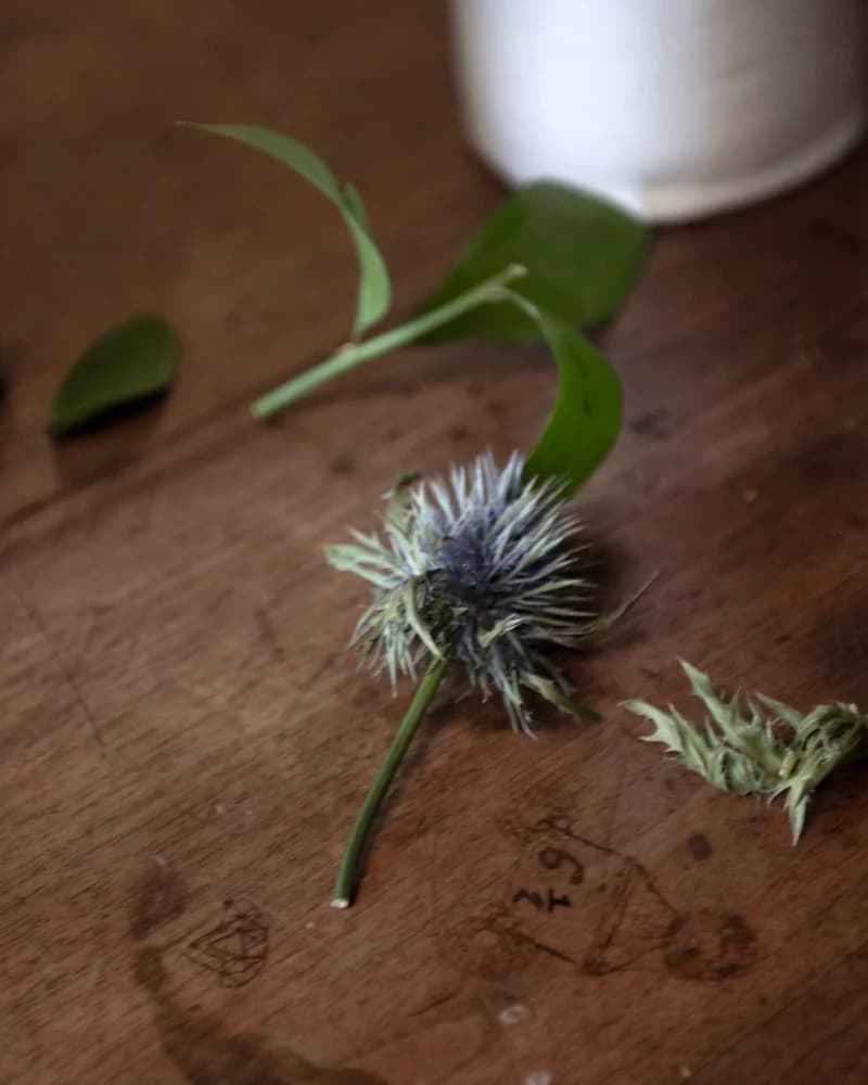 Branding - Visione Amaranto