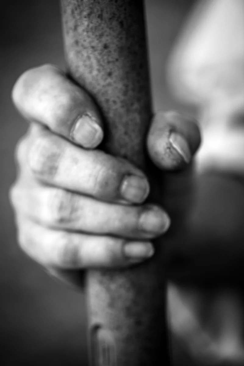 Grow Beautiful - Scenografia