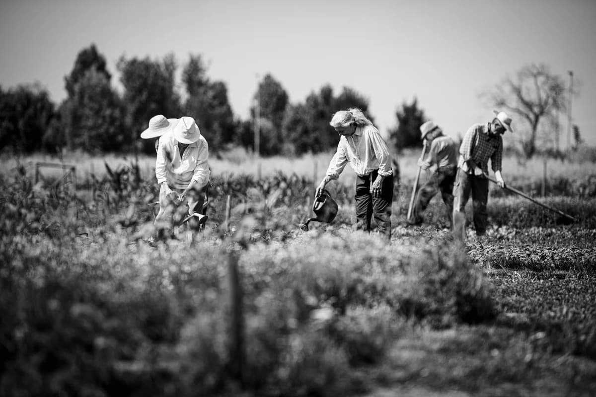 Grow Beautiful - Immagine 2