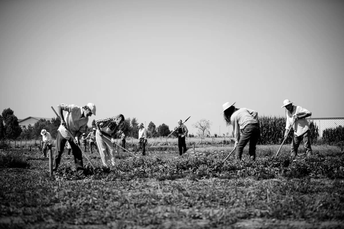 Grow Beautiful - Immagine 3