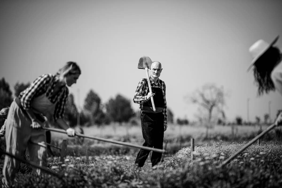 Grow Beautiful - Immagine 4