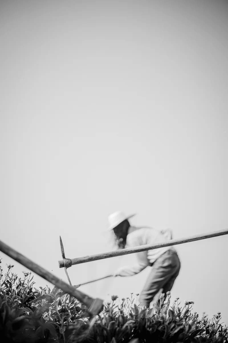 Grow Beautiful - Immagine 8