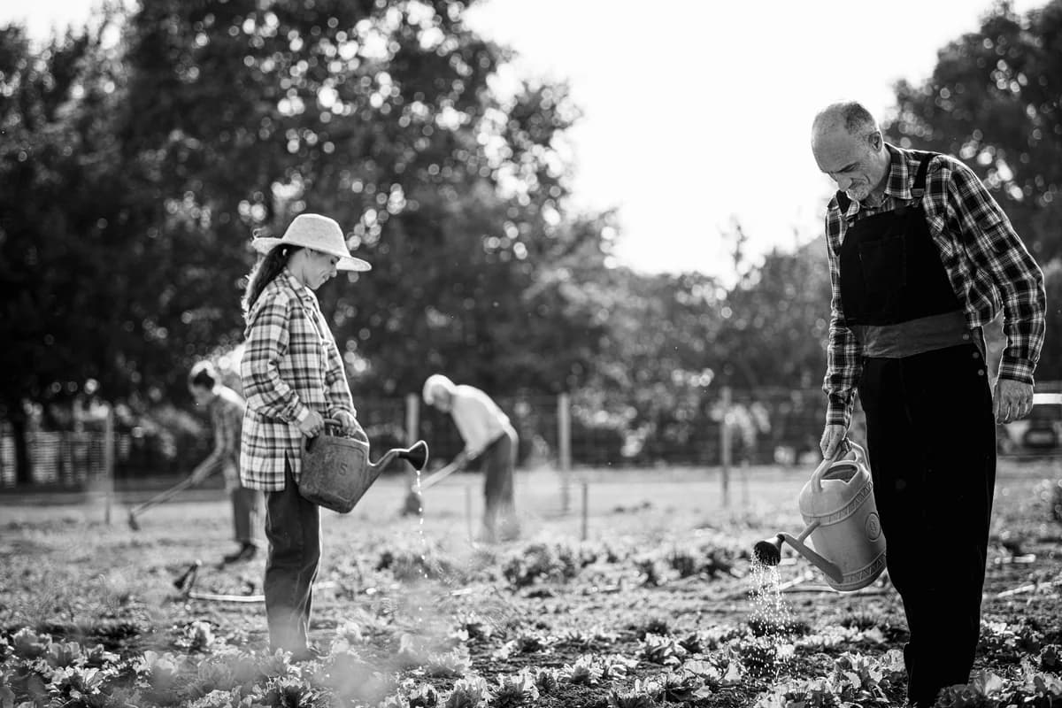 Grow Beautiful - Immagine 9