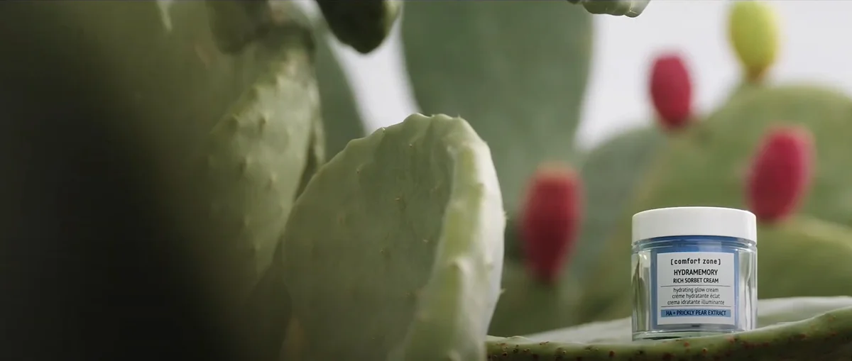 Hydramemory - [Comfort Zone] - Immagine 2