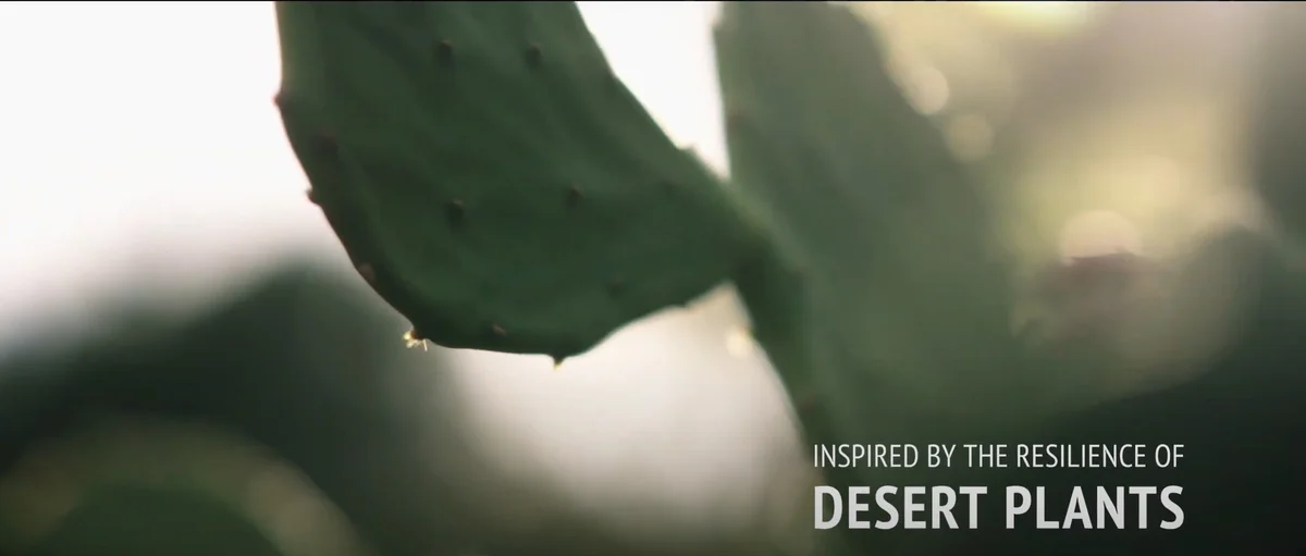 Hydramemory - [Comfort Zone] - Immagine 5