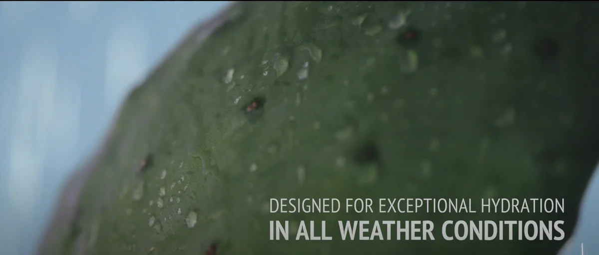 Hydramemory - [Comfort Zone] - Immagine 6